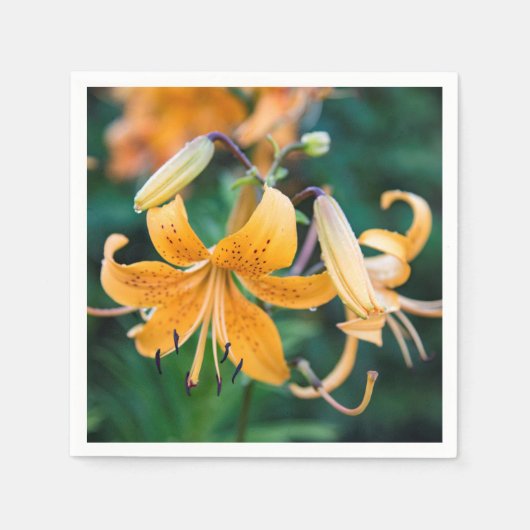 Papier Napkins Servet (Voorkant)