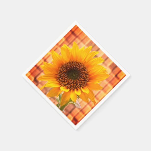 Papier Napkins Servet (Hoek)