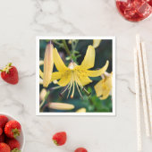 Papier Napkins Servet (Insitu)