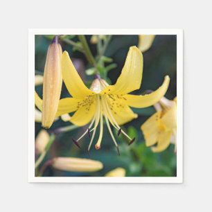 Papier Napkins Servet