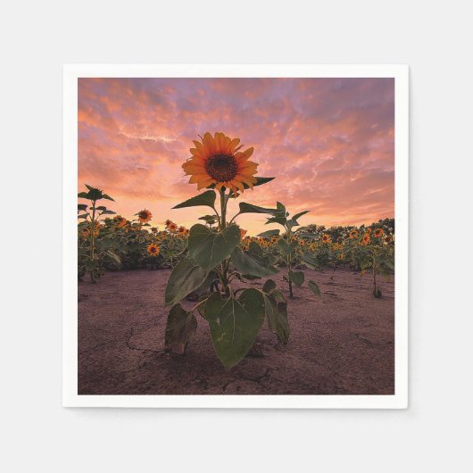 Papier Napkins Servet (Voorkant)