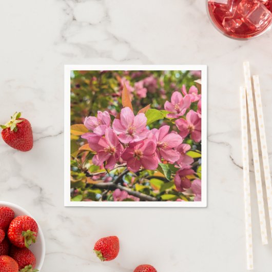 Papier Napkins Servet (Insitu)