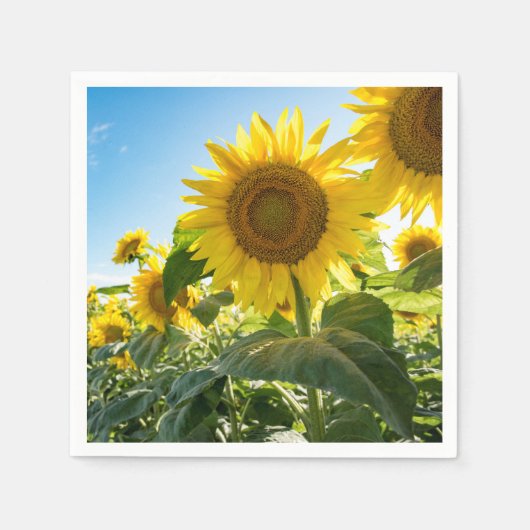 Papier Napkins Servet (Voorkant)