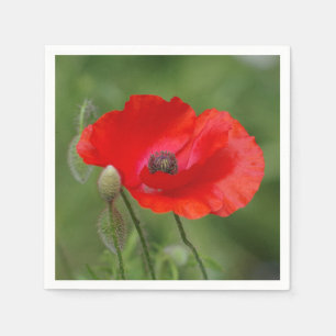 Papier Napkins Servet