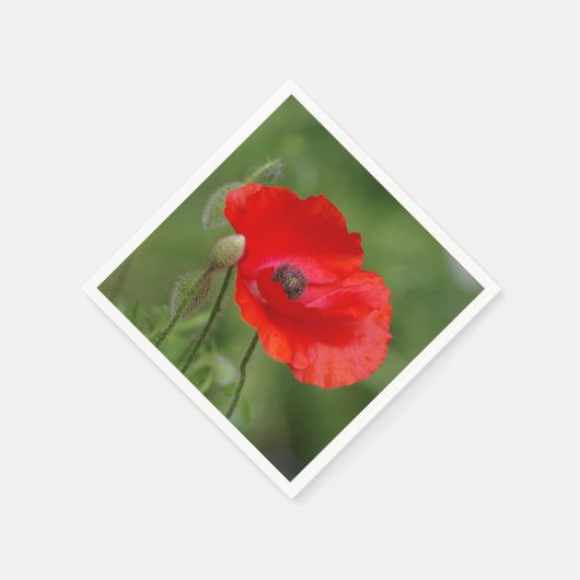 Papier Napkins Servet (Hoek)