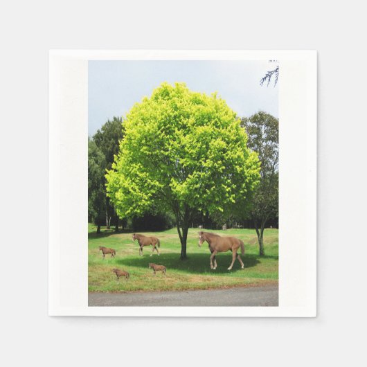 Papier Napkins Servet (Voorkant)