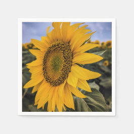 Papier Napkins Servet