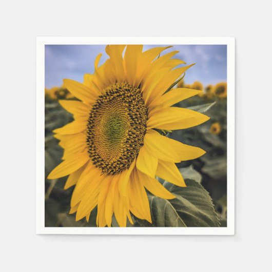 Papier Napkins Servet (Voorkant)