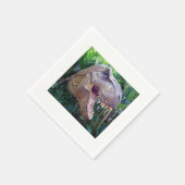 Papier Napkins Servetten (Hoek)