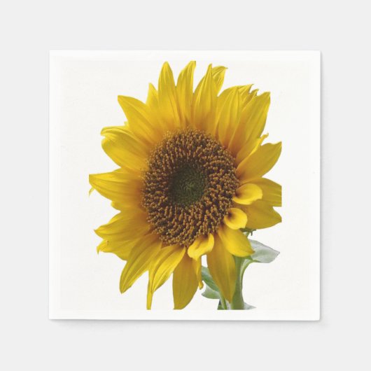 Papier Napkins Servetten (Voorkant)