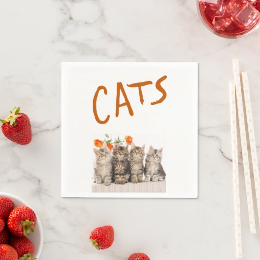 Papier Napkins Servetten (Insitu)