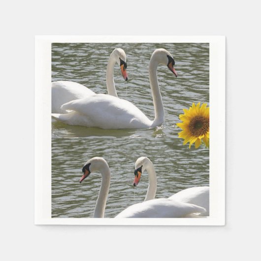 Papier Napkins Servetten (Voorkant)