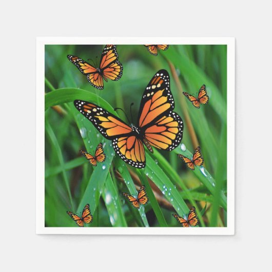 Papier Napkins Servetten (Voorkant)