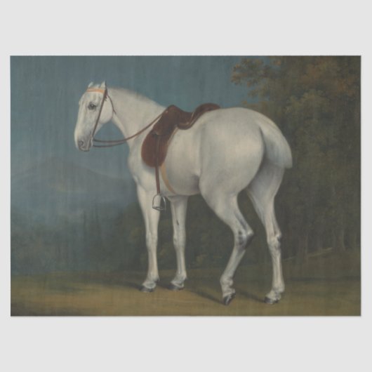  papier of ontkoppelingspatroon voor paarden (Voorkant)