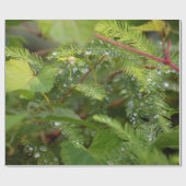 Papier ompakken om ons in de geest te krijgen (Vlak)