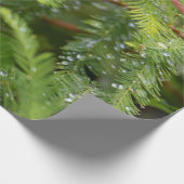 Papier ompakken om ons in de geest te krijgen (Hoek)