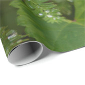 Papier ompakken om ons in de geest te krijgen (Rol Hoek)