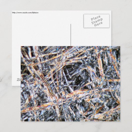 Papier onder de microscoop briefkaart (Voorkant / Achterkant)