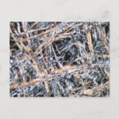 Papier onder de microscoop briefkaart (Voorkant)