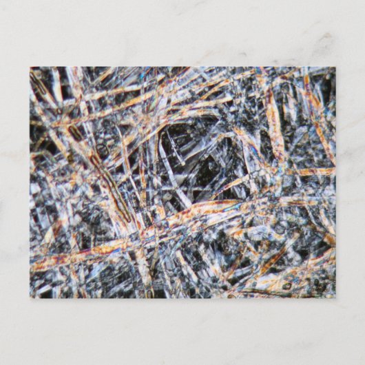 Papier onder de microscoop briefkaart (Voorkant)