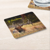 Papier-Onderzetter-set-geelsteen Elk Kartonnen Onderzetters (Schuin)