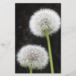 Papier - paardebloemen