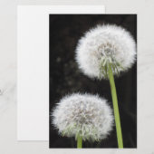 Papier - paardebloemen (Voorkant / Achterkant)