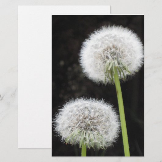 Papier - paardebloemen (Voorkant / Achterkant)