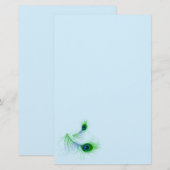 Papier-pauwenveren op papier (Voorkant / Achterkant)