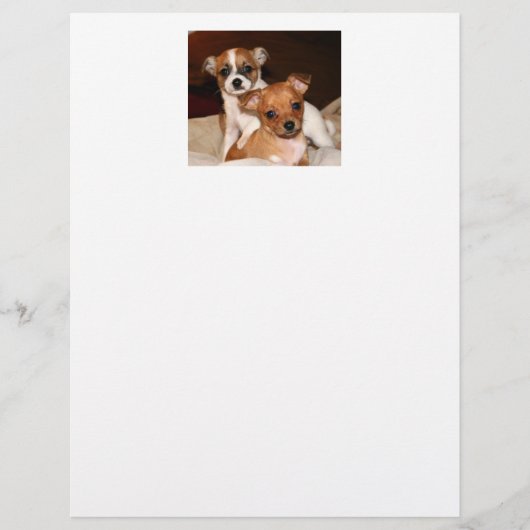 Papier, twee Schattige Puppies (Voorkant)