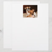 Papier, twee Schattige Puppies (Voorkant / Achterkant)