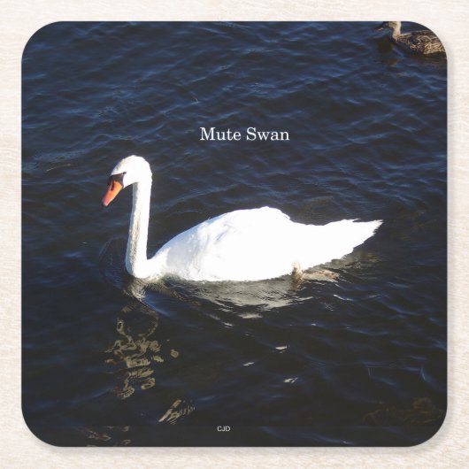 Papier van de Stomme Swan onderzetter (Voorkant)