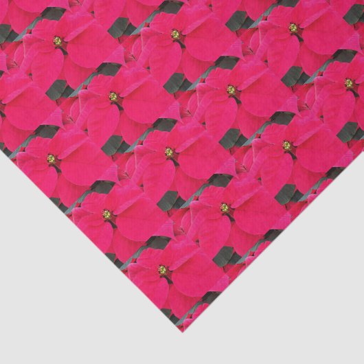 Papier van het flessenblad Red Poinsettias (Detail)