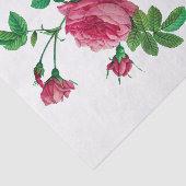 Papier van Rosa Inermis Redoute (Detail)