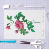 Papier van Rosa Inermis Redoute (Craft)