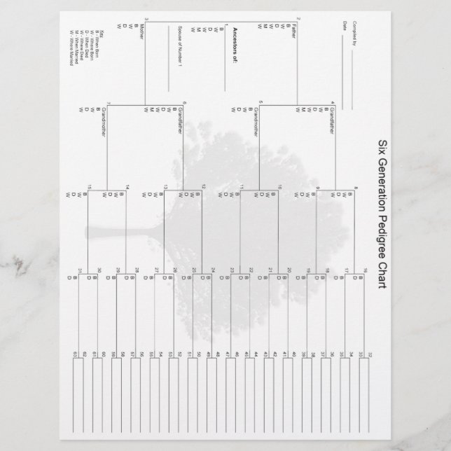 Papier van zes generaties (Voorkant)