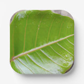 Papier Vierkante Kom met Blad Ontwerp Papieren Bordje (Voorkant)