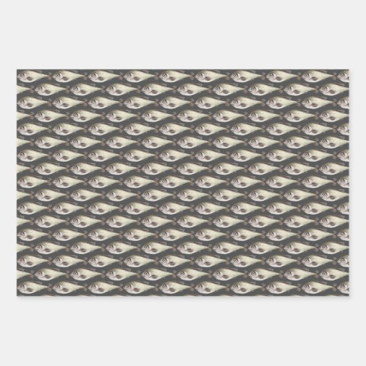 Papier Vist papierlade voor onmiddellijke verpakki Inpakpapier Vel (Voorkant)