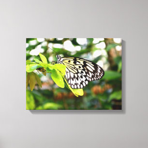 Papier vlieger vlinder canvas afdruk