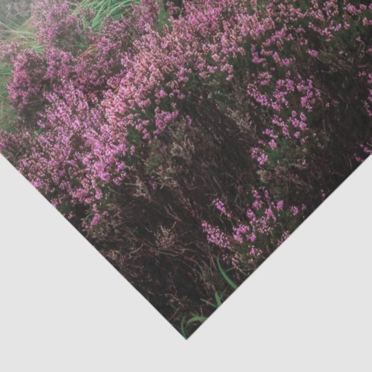 papier voor bergwandelpapier (Detail)