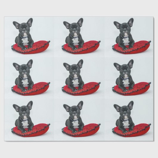 Papier voor bulgdog (Vlak)