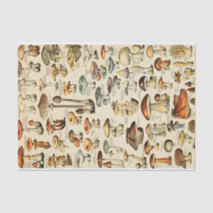 Papier voor Collectie van paddenstoelen