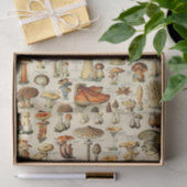 Papier voor Collectie van paddenstoelen (Geschenk)