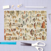 Papier voor Collectie van paddenstoelen (Craft)