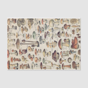 Papier voor Collectie van paddenstoelen