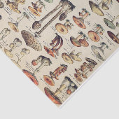 Papier voor Collectie van paddenstoelen (Detail)