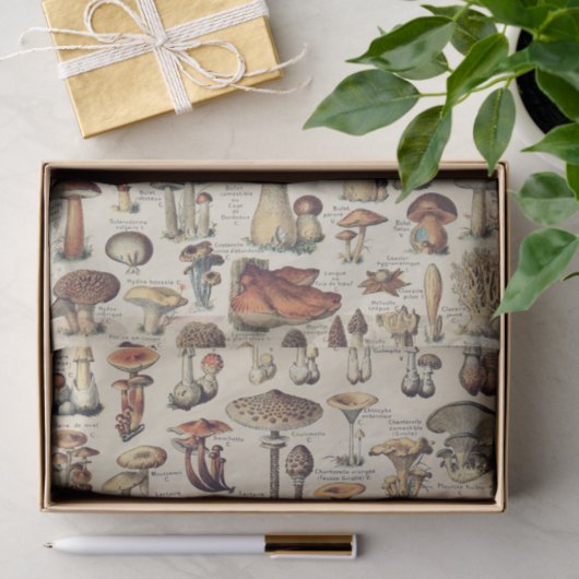 Papier voor Collectie van paddenstoelen (Geschenk)