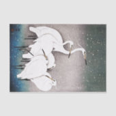 Papier voor CRANES (Voorkant)