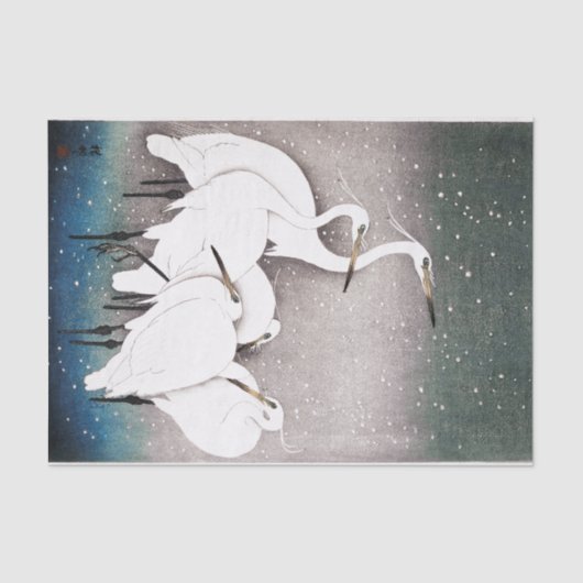 Papier voor CRANES (Voorkant)