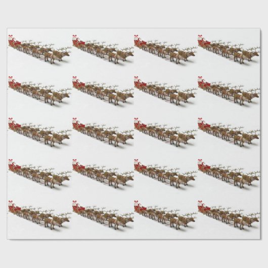 Papier voor de onmiddellijke en voor de rendiervis (Zoom)